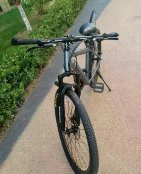 本人和弟兄两个