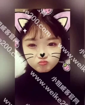 大二学生妹上门学生兼职