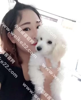 河西新开的小妹妹新人刚到