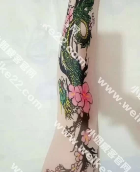 塘沽有感，老人了，还可以胸在胸大